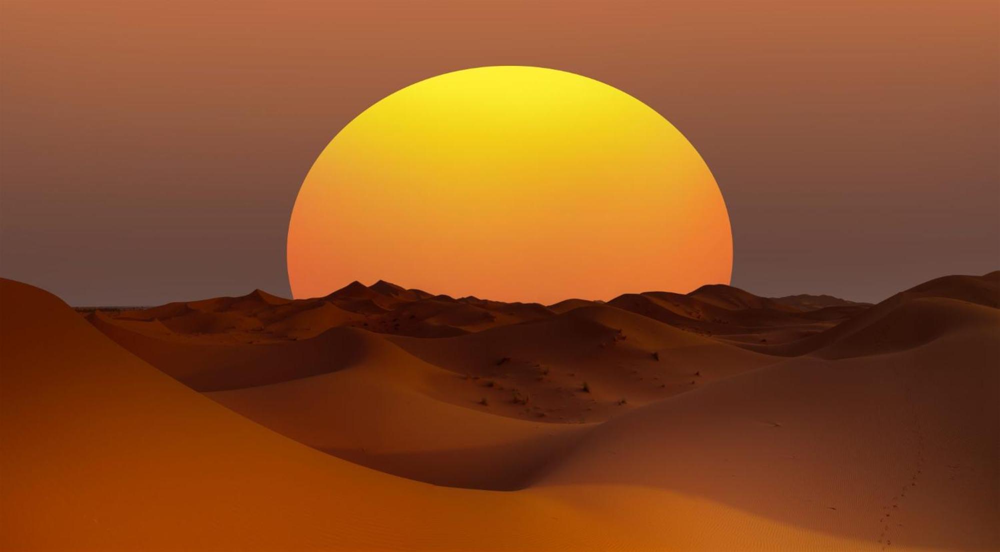 Desert Camel Trek Merzouga Exteriör bild